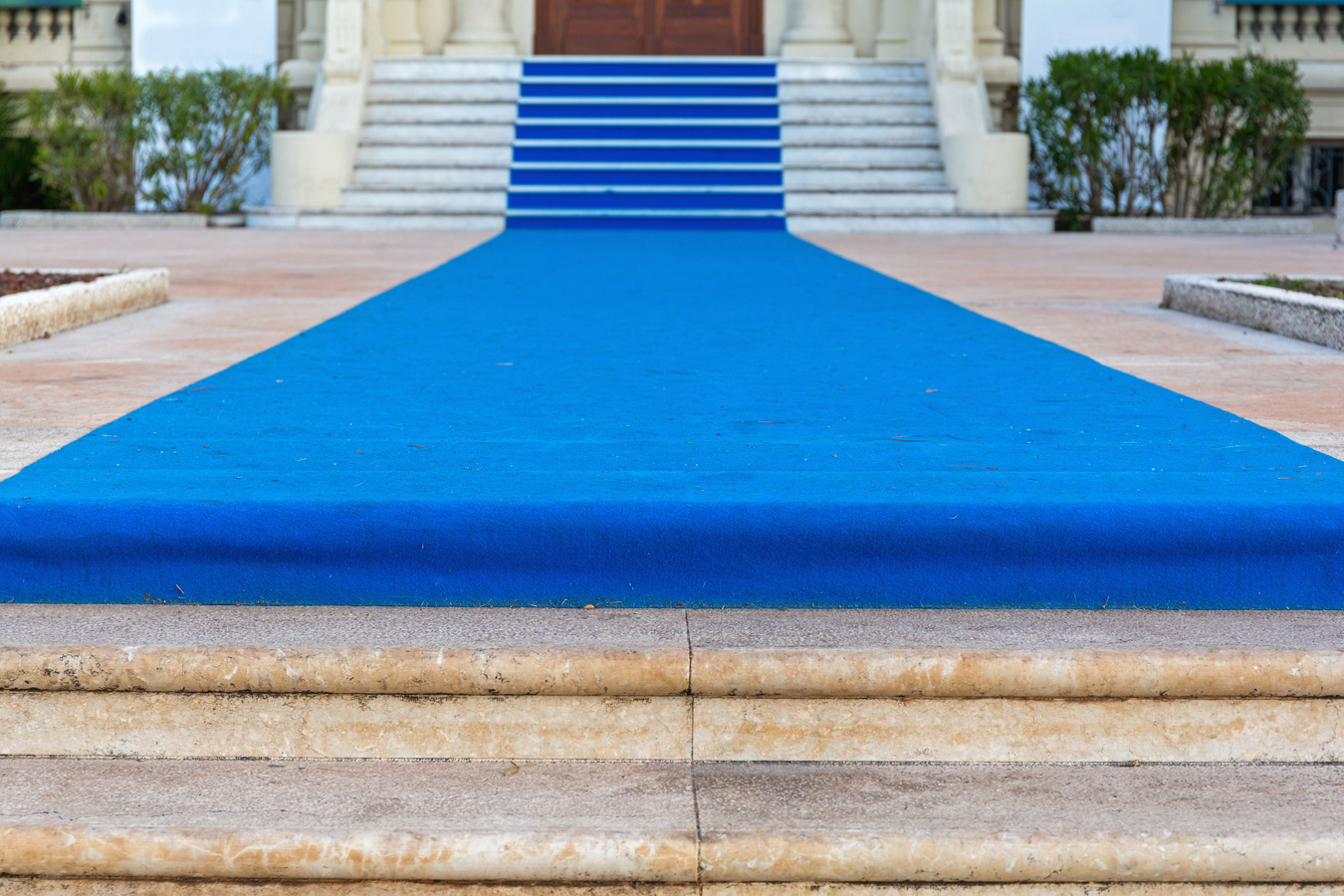 Blue Carpet